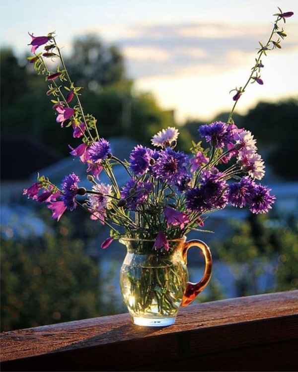 летнего утра