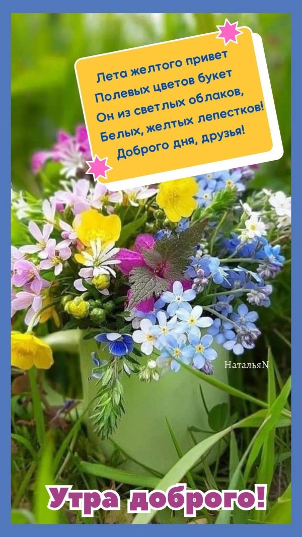 летнее утро доброе