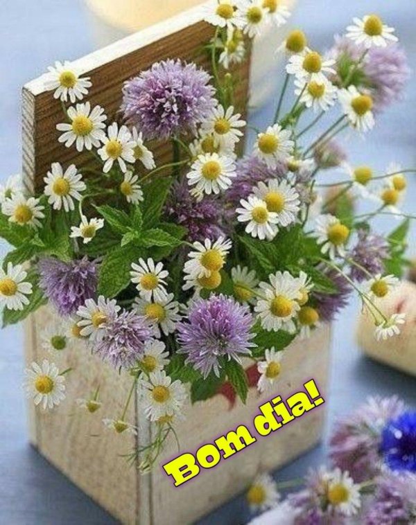 букет полевых цветов