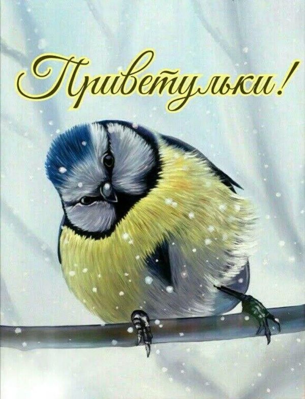 Доброе утро с гномами