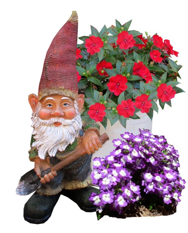 добрые гномы