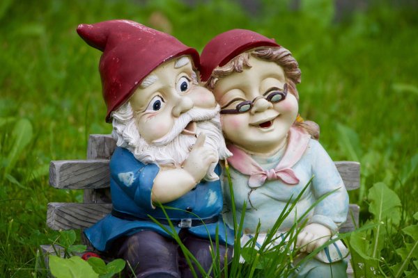 садовые гномики