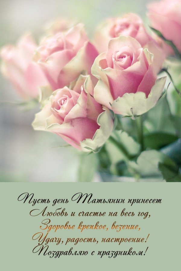 нежный цветок