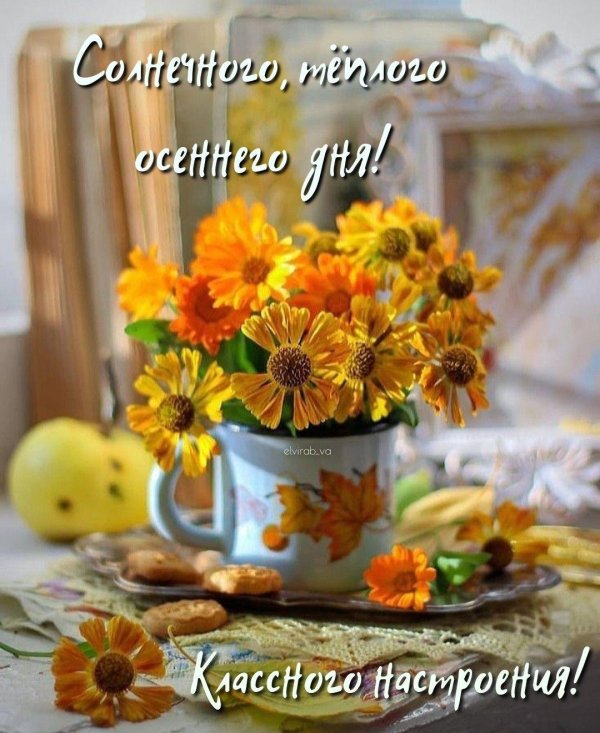 осенний букет уходящего лета