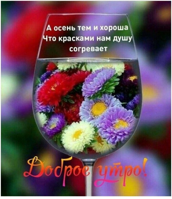 доброго утра осенние цветы