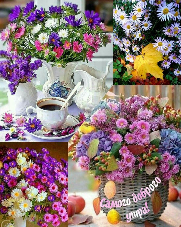 доброе июльское утречко