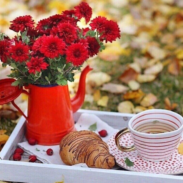 доброе утречко цветы осенние гифки