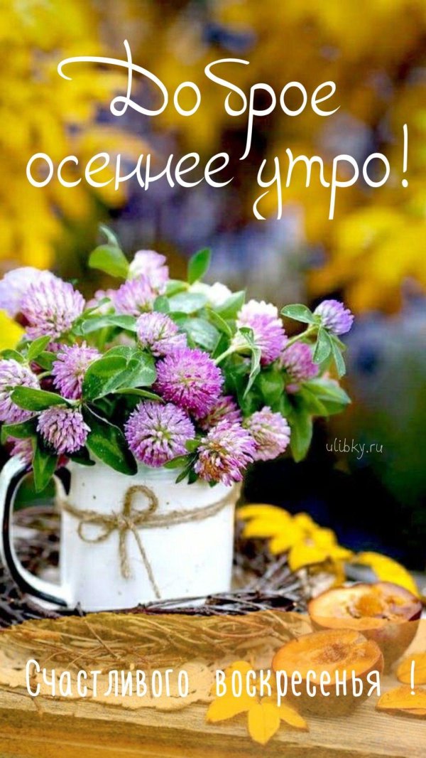 доброго утра осени