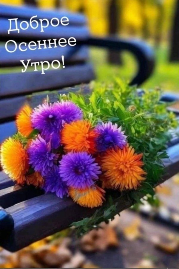 осенние цветы