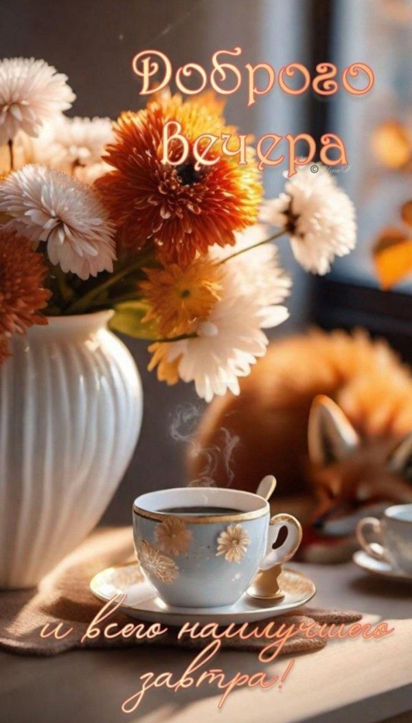 день добрый вечер