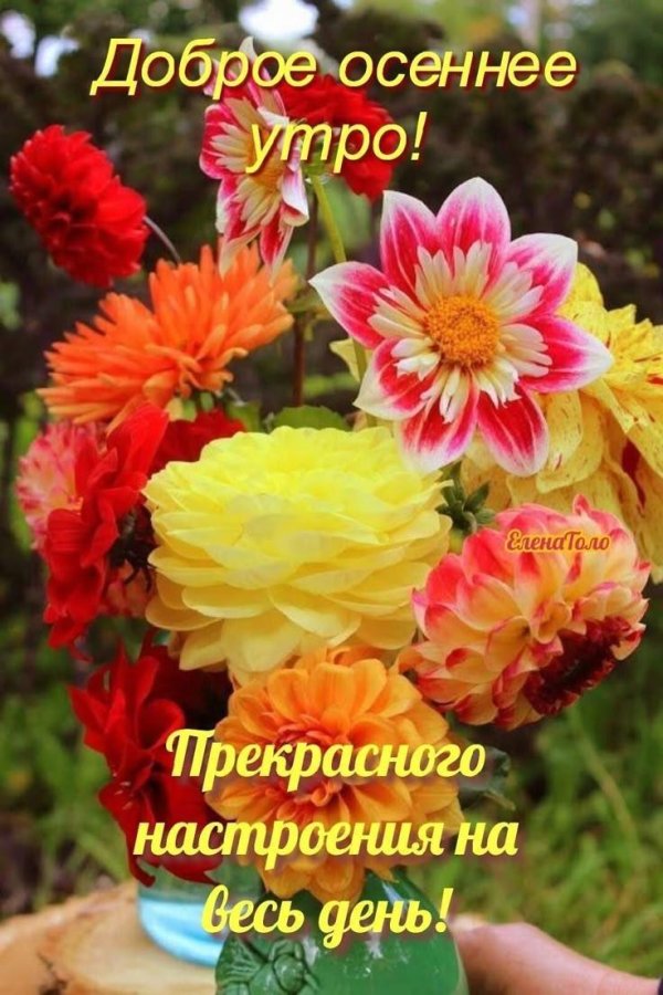 добрейшего осеннего утра