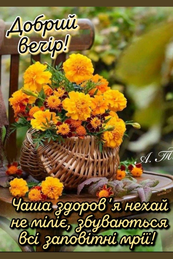 августовские цветы