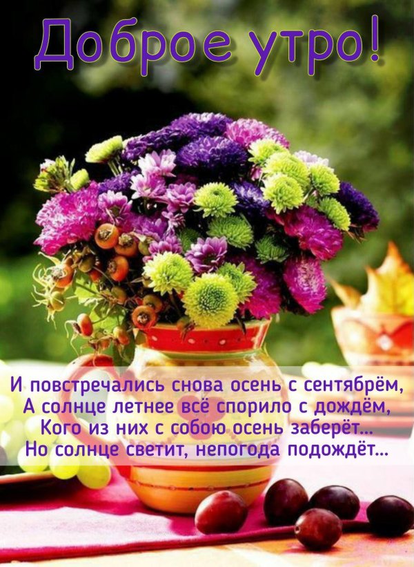 осенний букет доброе утро