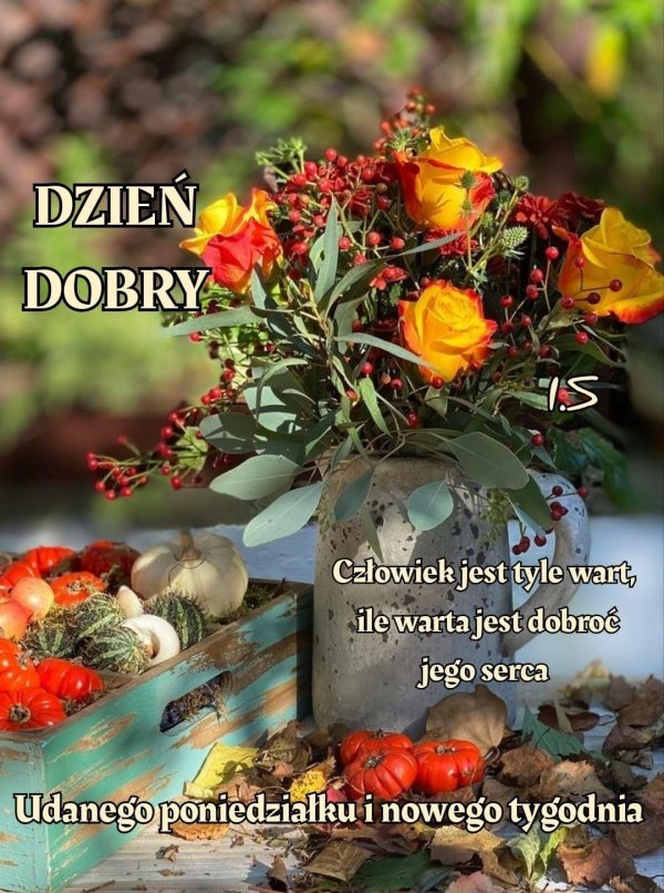 dzien dobry