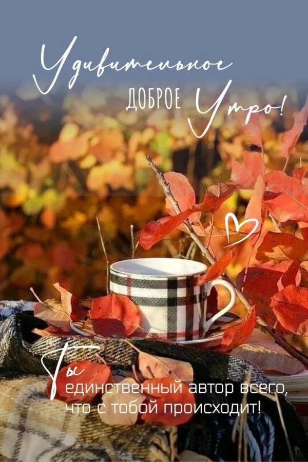 осеннего утра