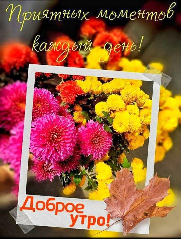 с добрым утром октября красивые