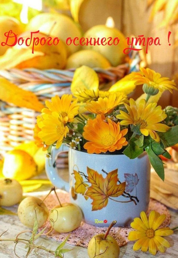 доброе утро осенний букет