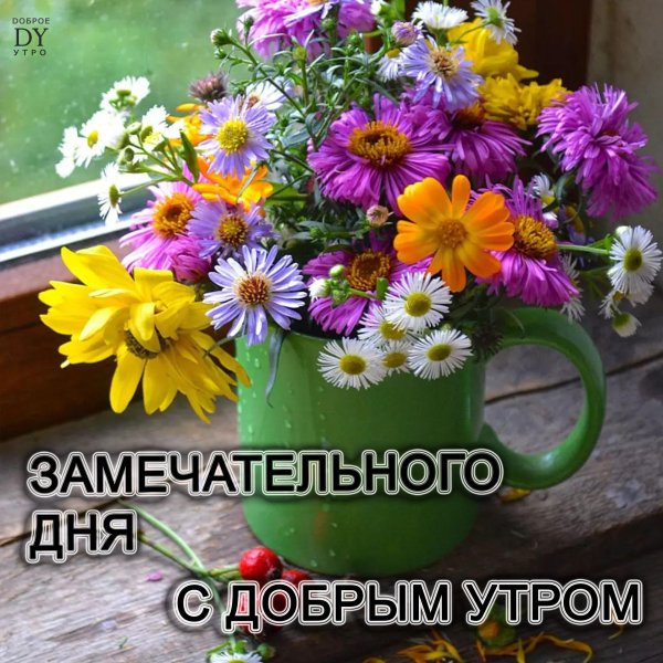 летние утренние цветы