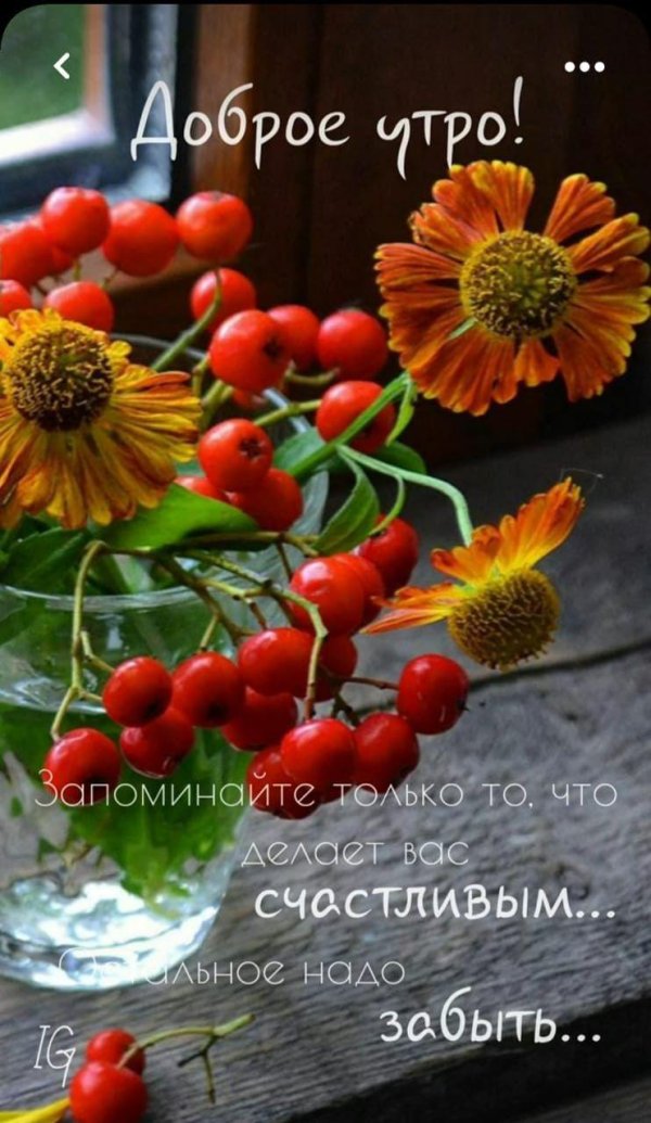 доброго утра осеннего