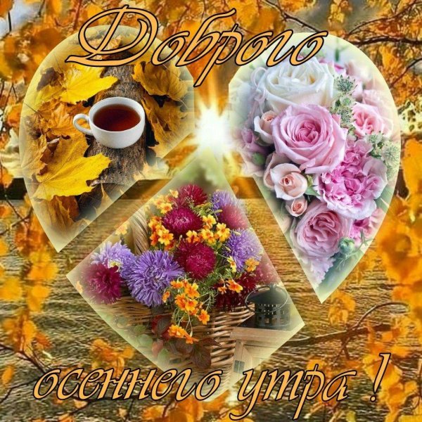 доброго утра осеннего