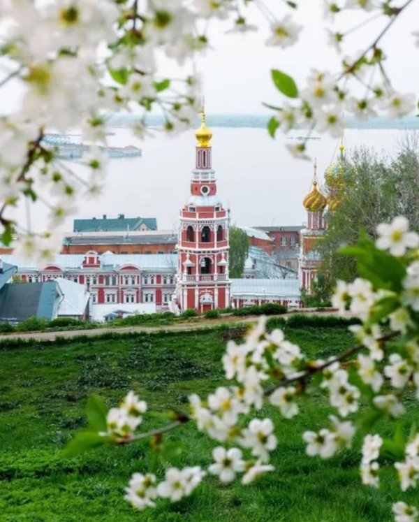 цветущий нижний новгород