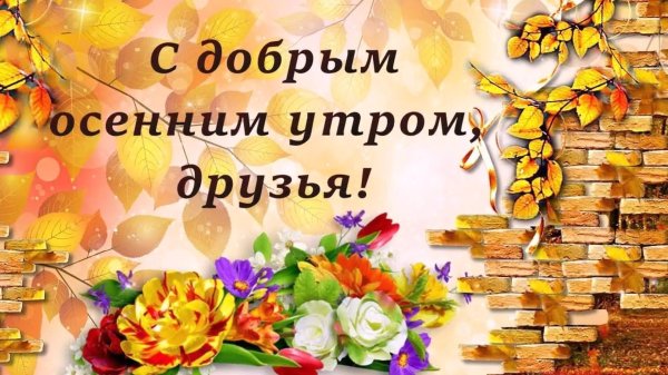 доброе осеннее утро друзья