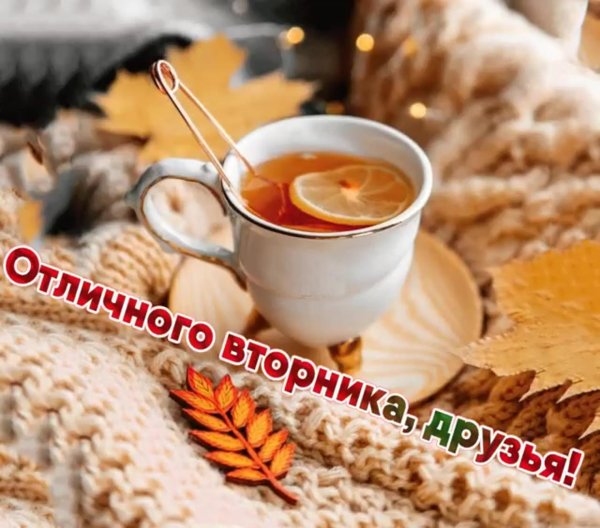 доброе утро вторника осенние