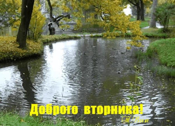 хорошего осеннего вторника