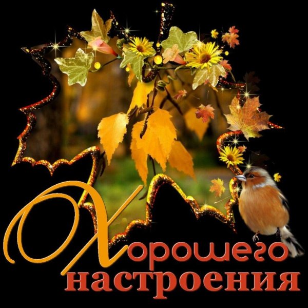 хорошего осеннего настроения