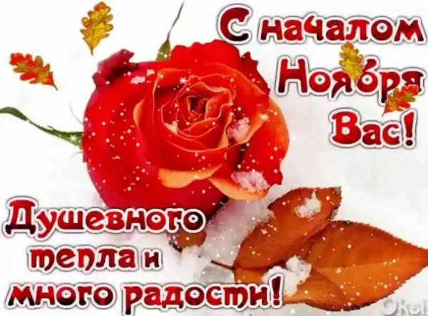 теплого ноября