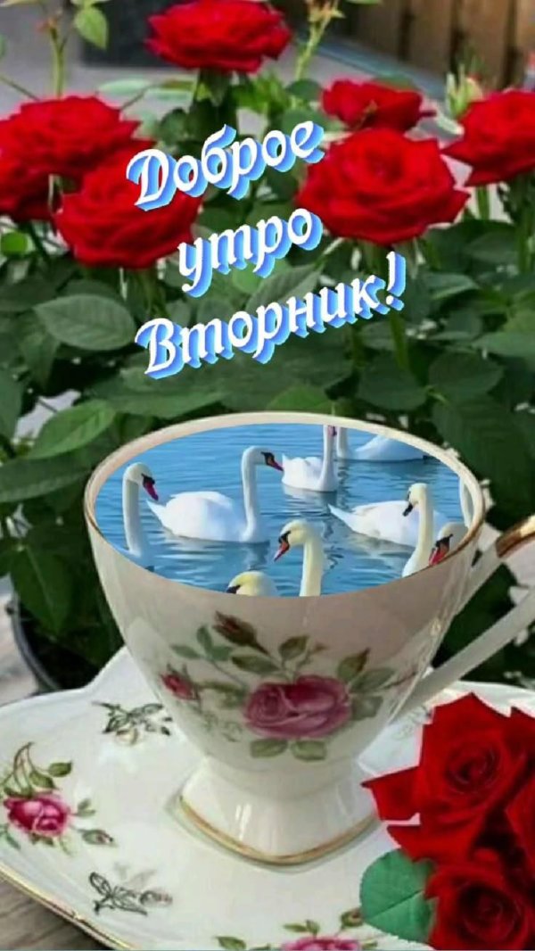утро вторник