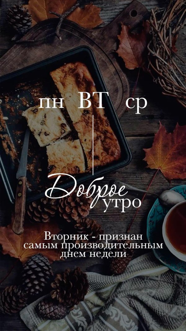 утро вторник