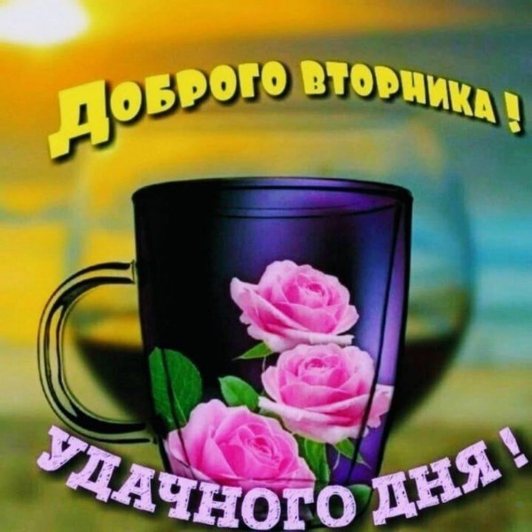 успешного вторника