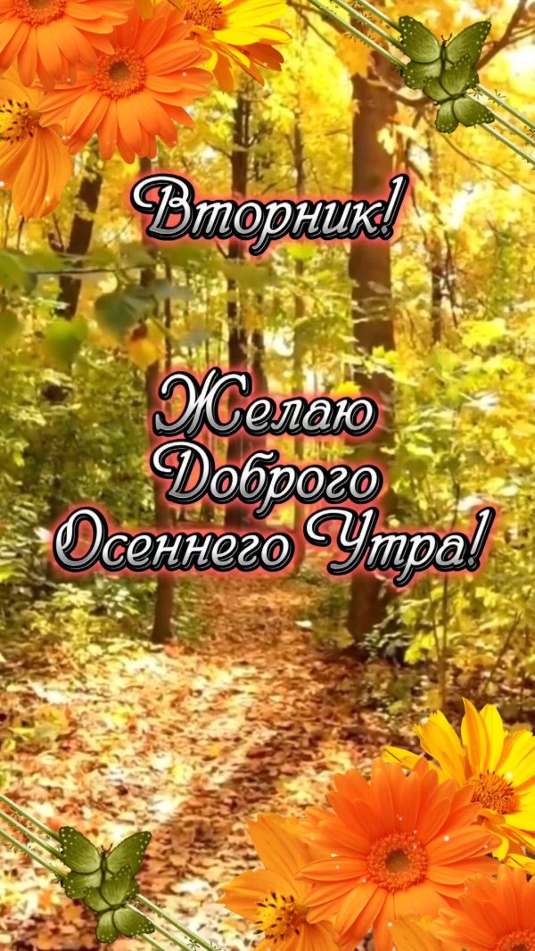 с добрым осенним днем