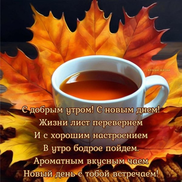 осеннего доброго утра