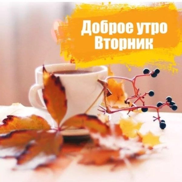 доброе утро осень вторник