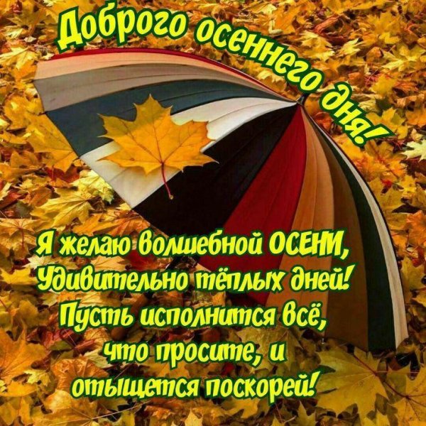 высказывания про осень