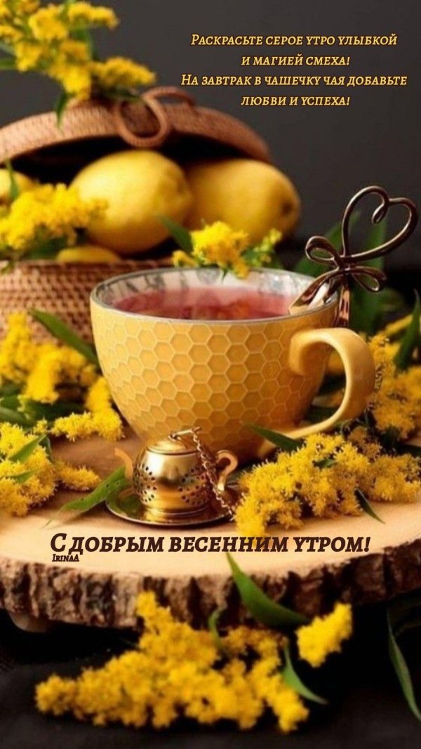 добрейшего весеннего утра