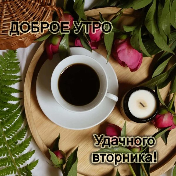 великолепного утра