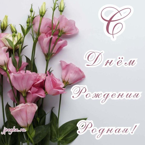 эустома цветок