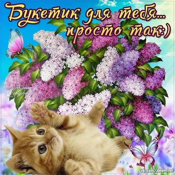 поздравительная открытка