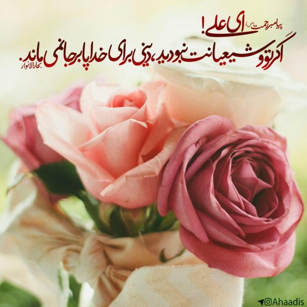 романтичные цветы