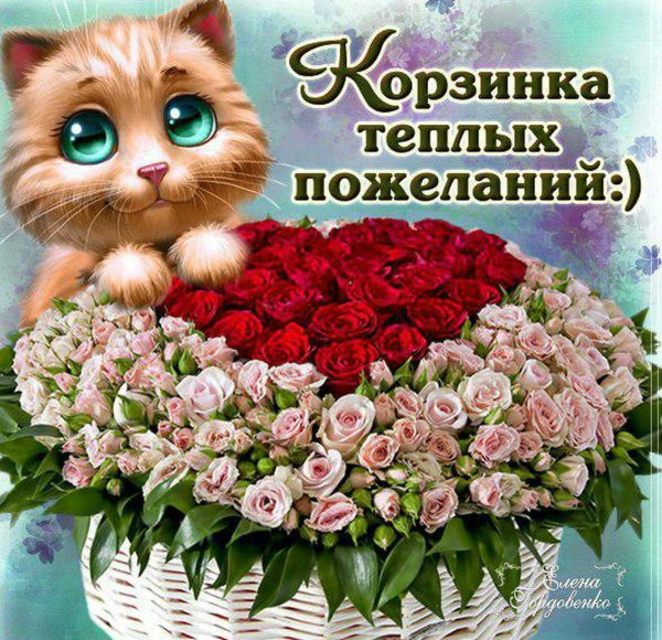корзина теплых пожеланий