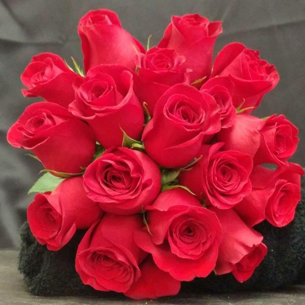 роза пинк флойд