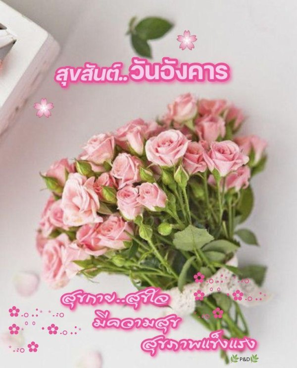 кустовая роза