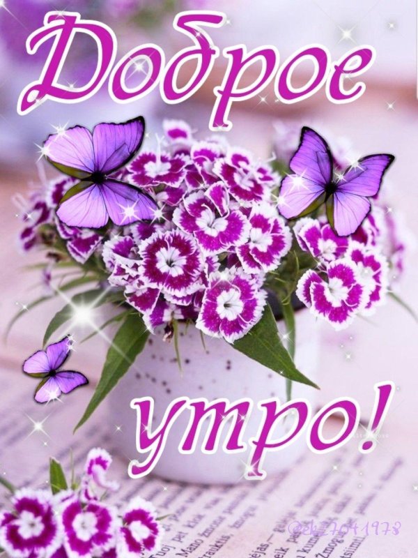 доброе утро доброе утро