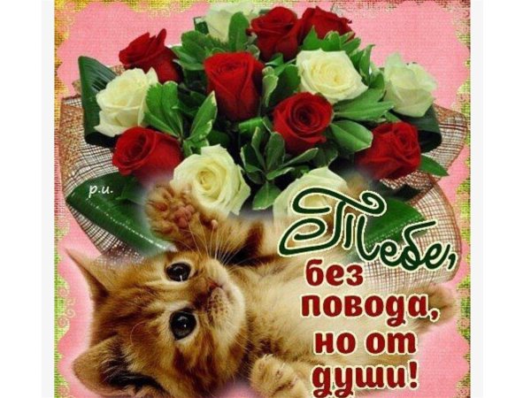 без повода но от души