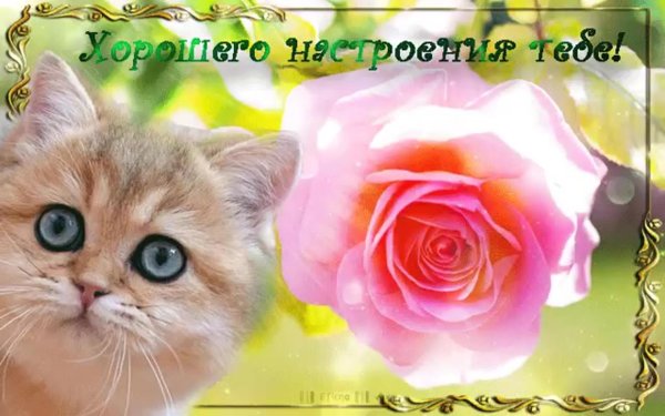 для настроения