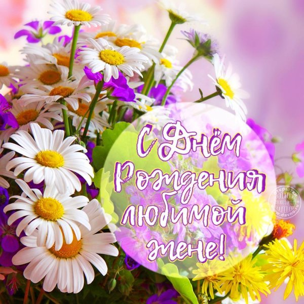 жене с днем рождения