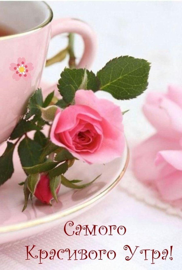 доброе утро антонина